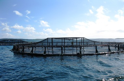 File:Layer Aquaculture.png